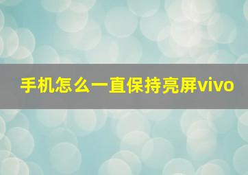 手机怎么一直保持亮屏vivo