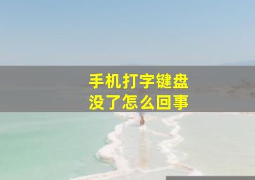 手机打字键盘没了怎么回事