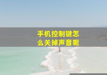 手机控制键怎么关掉声音呢