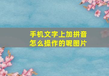 手机文字上加拼音怎么操作的呢图片