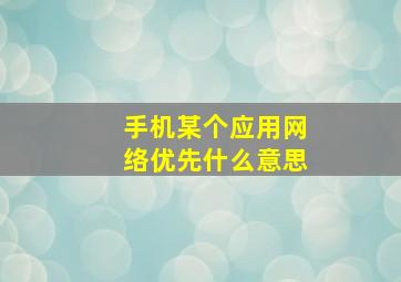 手机某个应用网络优先什么意思