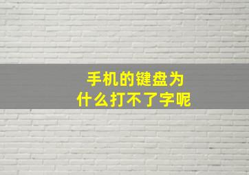 手机的键盘为什么打不了字呢