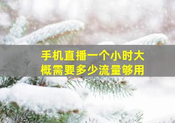 手机直播一个小时大概需要多少流量够用