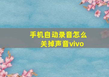 手机自动录音怎么关掉声音vivo