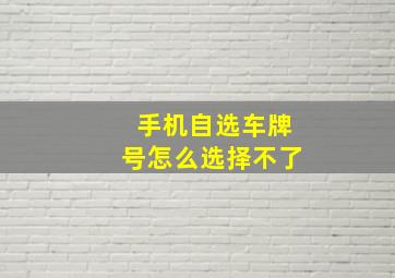 手机自选车牌号怎么选择不了