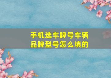 手机选车牌号车辆品牌型号怎么填的