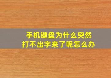 手机键盘为什么突然打不出字来了呢怎么办