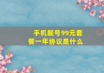 手机靓号99元套餐一年协议是什么