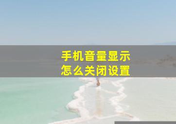 手机音量显示怎么关闭设置