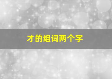 才的组词两个字