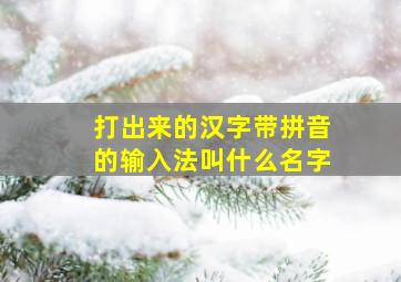 打出来的汉字带拼音的输入法叫什么名字