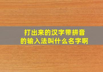 打出来的汉字带拼音的输入法叫什么名字啊