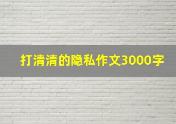 打清清的隐私作文3000字