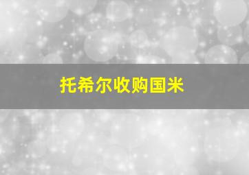 托希尔收购国米