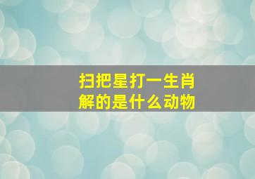 扫把星打一生肖解的是什么动物