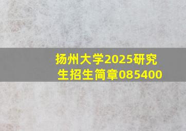 扬州大学2025研究生招生简章085400