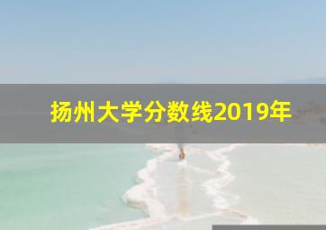 扬州大学分数线2019年