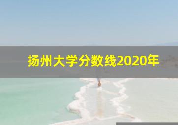 扬州大学分数线2020年