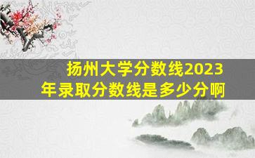 扬州大学分数线2023年录取分数线是多少分啊