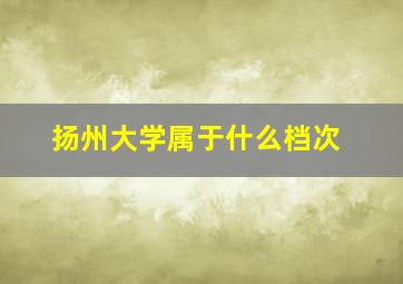 扬州大学属于什么档次