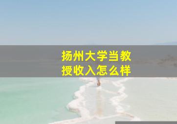 扬州大学当教授收入怎么样