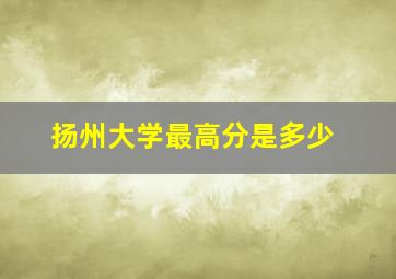 扬州大学最高分是多少