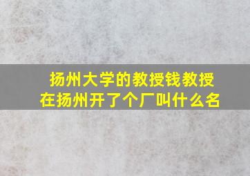 扬州大学的教授钱教授在扬州开了个厂叫什么名