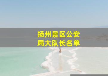 扬州景区公安局大队长名单