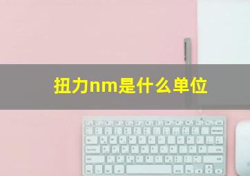 扭力nm是什么单位