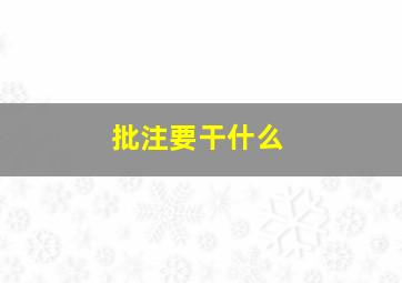 批注要干什么