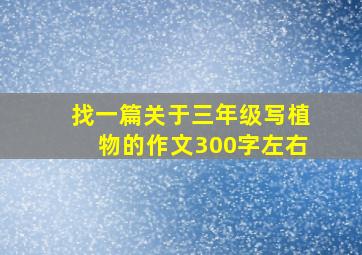 找一篇关于三年级写植物的作文300字左右