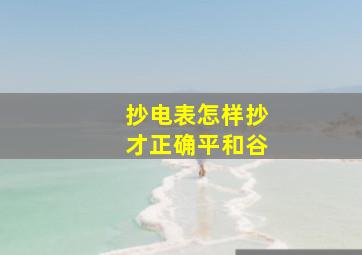 抄电表怎样抄才正确平和谷