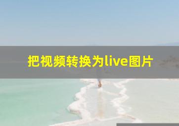 把视频转换为live图片