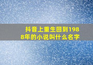 抖音上重生回到1988年的小说叫什么名字