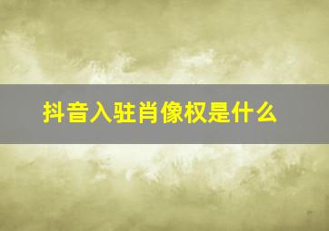 抖音入驻肖像权是什么