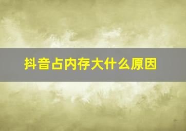 抖音占内存大什么原因