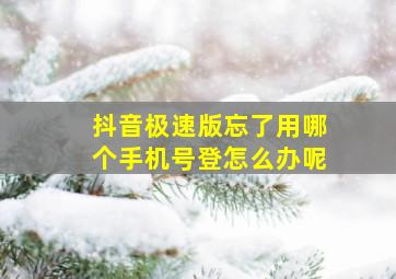 抖音极速版忘了用哪个手机号登怎么办呢