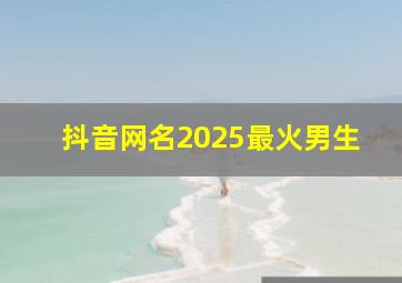 抖音网名2025最火男生