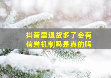 抖音里退货多了会有信誉机制吗是真的吗