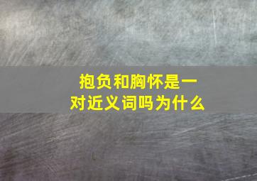 抱负和胸怀是一对近义词吗为什么