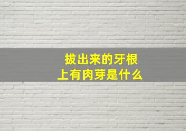 拔出来的牙根上有肉芽是什么