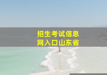 招生考试信息网入口山东省