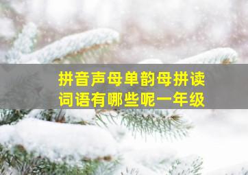 拼音声母单韵母拼读词语有哪些呢一年级