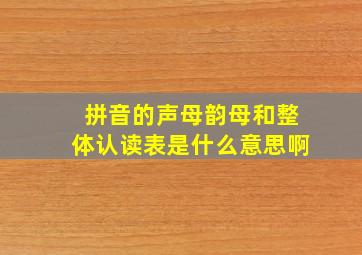 拼音的声母韵母和整体认读表是什么意思啊