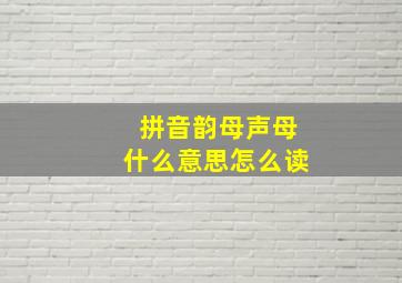 拼音韵母声母什么意思怎么读