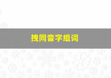 拽同音字组词