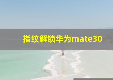 指纹解锁华为mate30