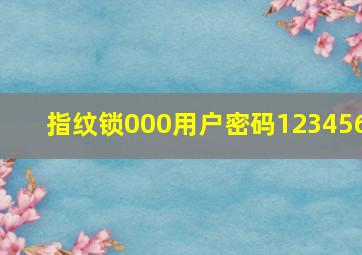 指纹锁000用户密码123456