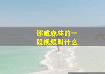 挪威森林的一段视频叫什么