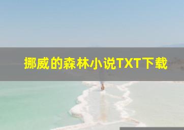 挪威的森林小说TXT下载